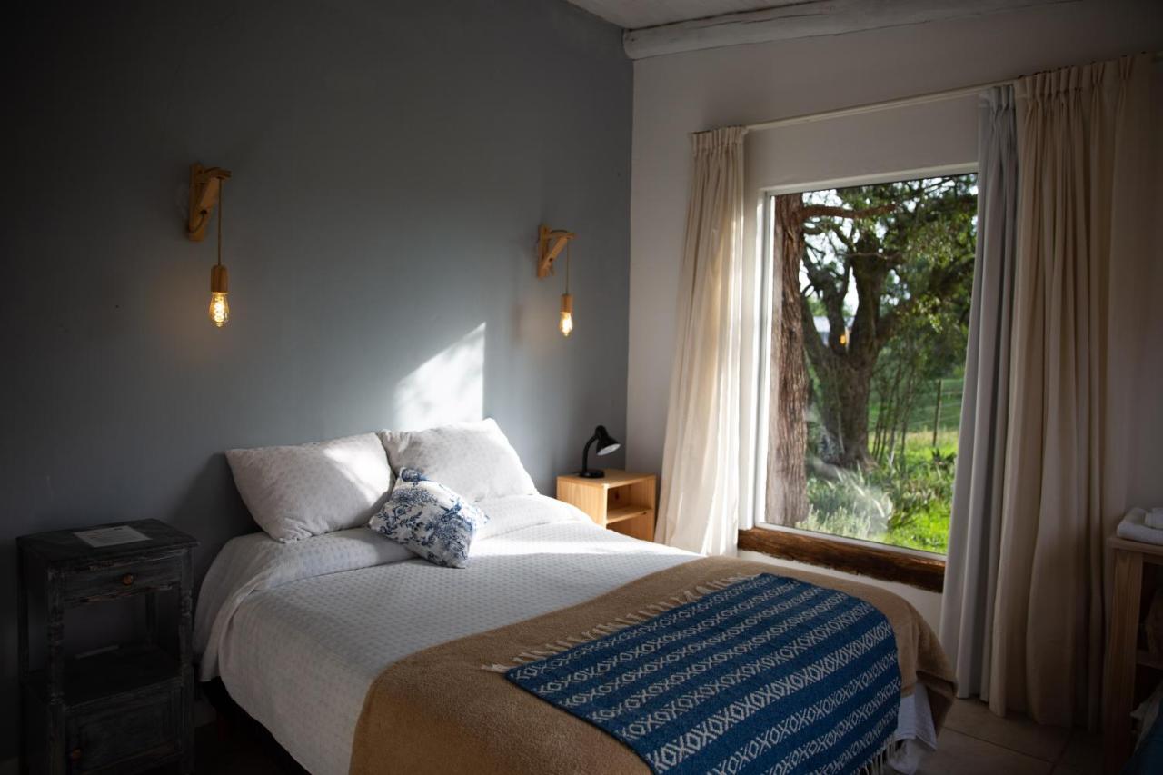 La Titina, Y Reserva Natural Country house